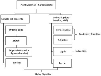 Microencapsulation technology for delivery of enzymes in ruminant feed